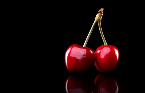 قیمت خرید کنسانتره گیلاس + فروش ویژه